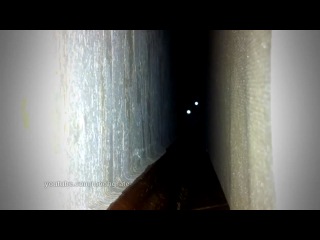 cat from hell... very scary video